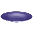 Thunder 13 Oz, 9-1/4" Diameter X 1-3/8" Height, Salad Bowl, Purple Color, Melamine, Dozen