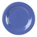Thunder 10-1/2" Diameter X 7/8" Height, Wide Rim Plate, Purple Color, Melamine, Dozen