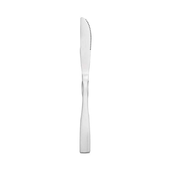 Thunder Salem Dinner Knife, Stainless Steel, Dozen
